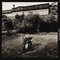 Granja Pepita | 1990